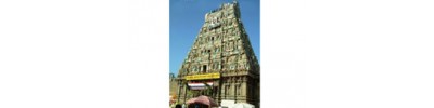 256. திருவொற்றியூர்